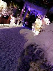 -保定金沙芝柏婚礼策划