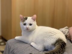 -宠颐生中康贝怡动物医院