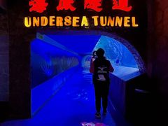 -太平洋海底世界