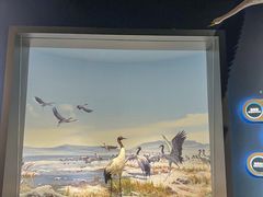 -中国湿地博物馆