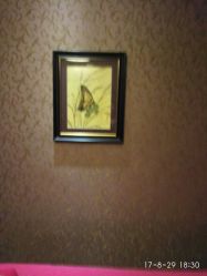 -归真美学颜究中心