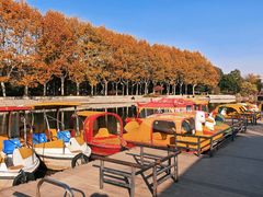 -泰州凤城河风景区-泰山公园