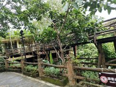 -海南槟榔谷黎苗文化旅游区