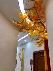 -芳朵美容养生SPA