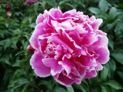 -长春公园(普阳街道)