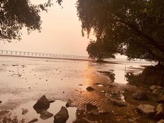 -宝安西湾红树林湿地公园