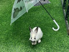 -正佳雨林生态植物园