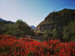 -乌龙峡谷景区