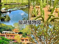 -大梅沙海滨公园