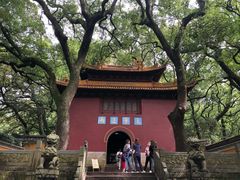 -普陀山风景名胜区-法雨禅寺