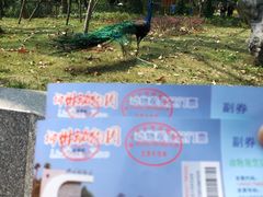 -柳州市动物园