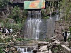 -重庆市奥林匹克体育中心-游泳跳水馆