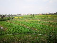 -梨泰院