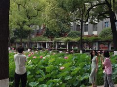 -四川大学(望江校区)