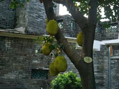 -东莞市可园博物馆