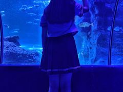 -左海海底世界
