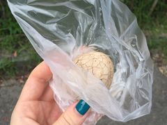 -金盆阿嬷香菇茶叶蛋(玄光店)