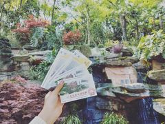 -南山植物园