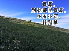 -黄河九曲第一湾