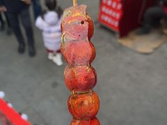 -和禄德冰糖葫芦