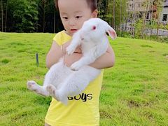 -宝力豪健身(万达广场店)