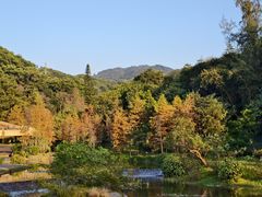 -云溪植物园
