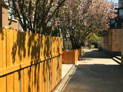 -天津东丽湖风景区