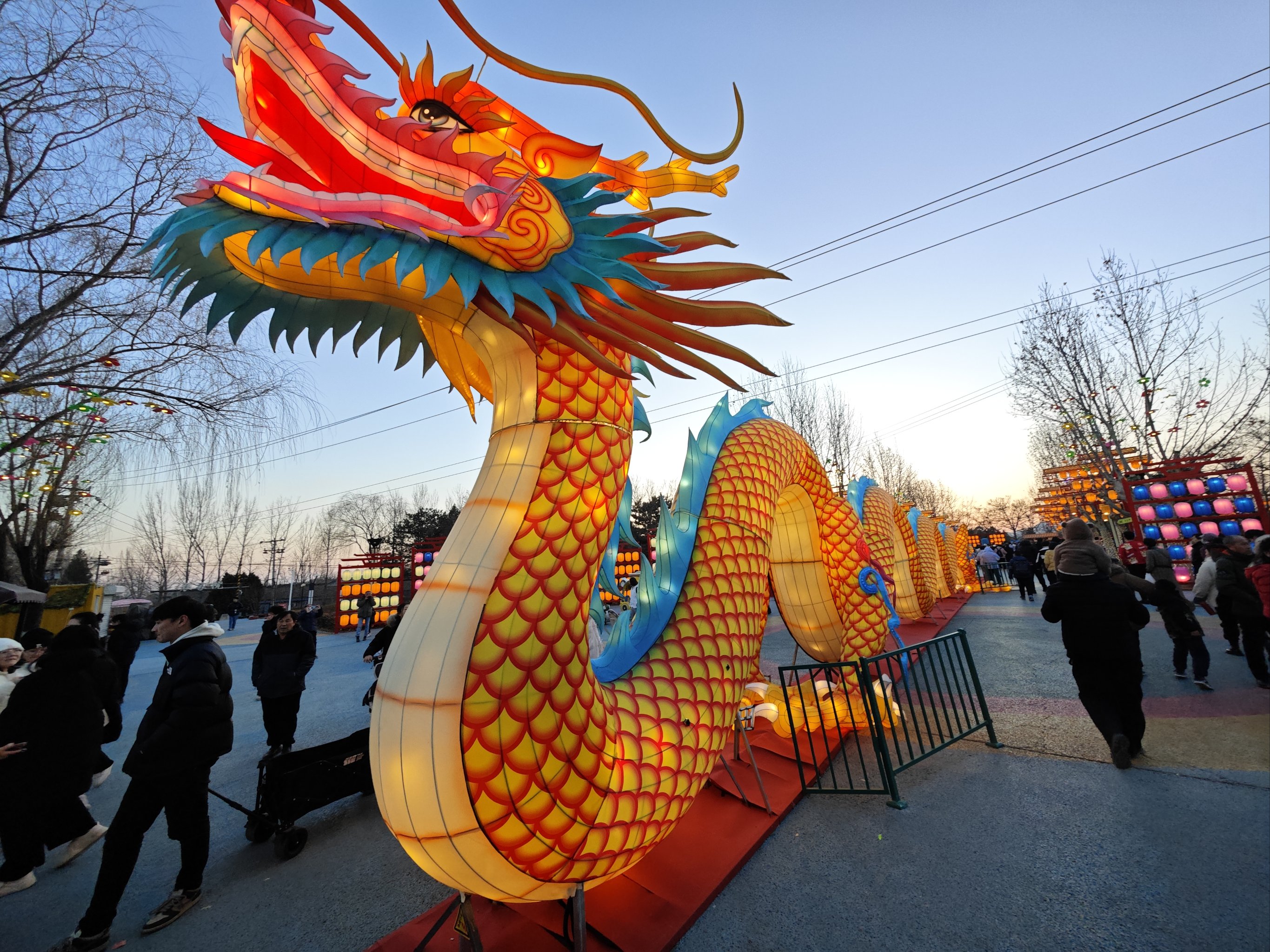 北京青龙湖花灯图片