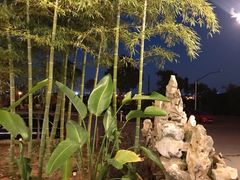 -呼吸森林·生态农庄农家乐私房菜