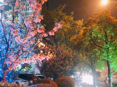 -苏州汇融广场假日酒店