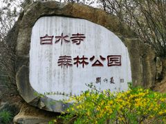 -白水寺森林公园