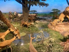 -国家自然博物馆