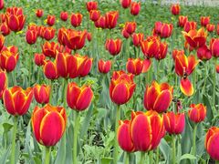 -长春公园(普阳街道)