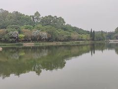 -南国桃园旅游度假区