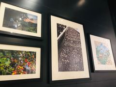 -星巴克(镇江苏宁广场6F店)