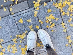 -北京石刻艺术博物馆(五塔寺)