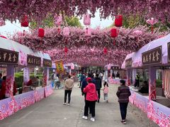 -南汇桃花村