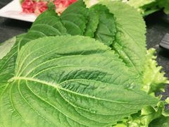 -完美生活炭火烤肉(二马路店)