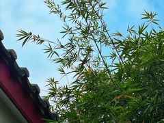 -潮州古城