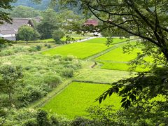 -白川乡与五箇山的合掌构造村落