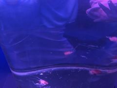 -五缘湾悦都汇购物中心