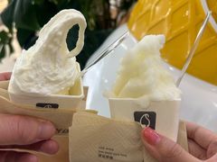 -野人先生Gelato(上海长宁龙之梦店)