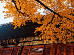 -红螺寺