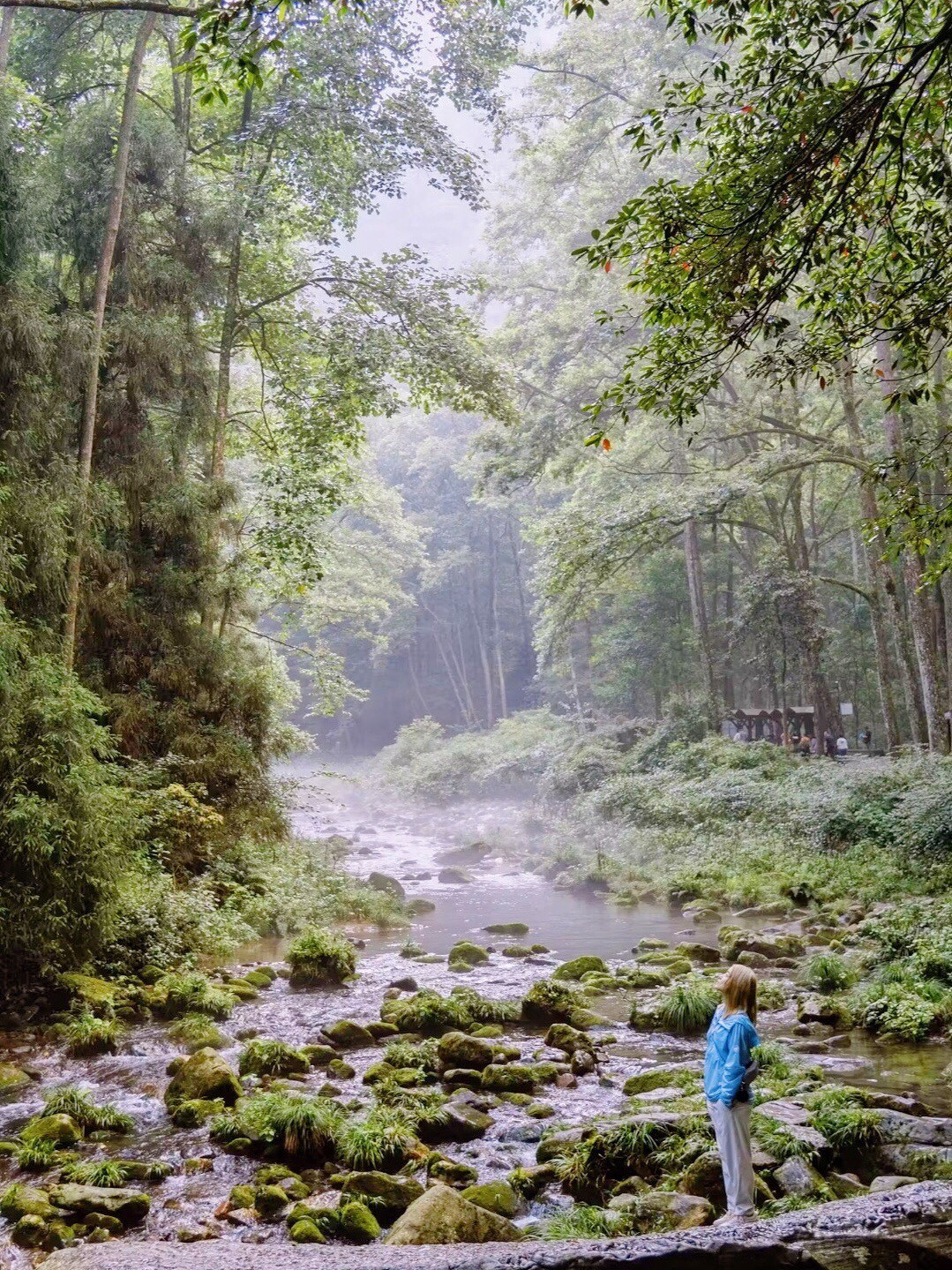 https://qcloud.dpfile.com/pc/_-PCN_YY2aRCmF734bQQIspZb_YbSJRXlPH4I20gbuhanKiGlAgSmuDse6O-eke6Y0q73sB2DyQcgmKUxZFQtw.jpg