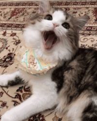 -熙画美上门MakeUp美甲美睫