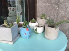 -蜜蜂小象·榴莲千层蛋糕(时代汇11栋店)