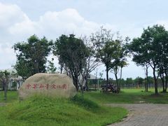 -上海海湾国家森林公园