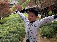 -庐山风景名胜区-东林大佛