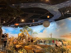 -陕西自然博物馆