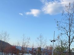 -宝荣鱼馆·临湖之宴(千岛湖店)